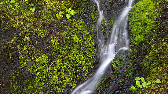 musterbild_550x310.jpg