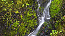 musterbild_260x145.jpg