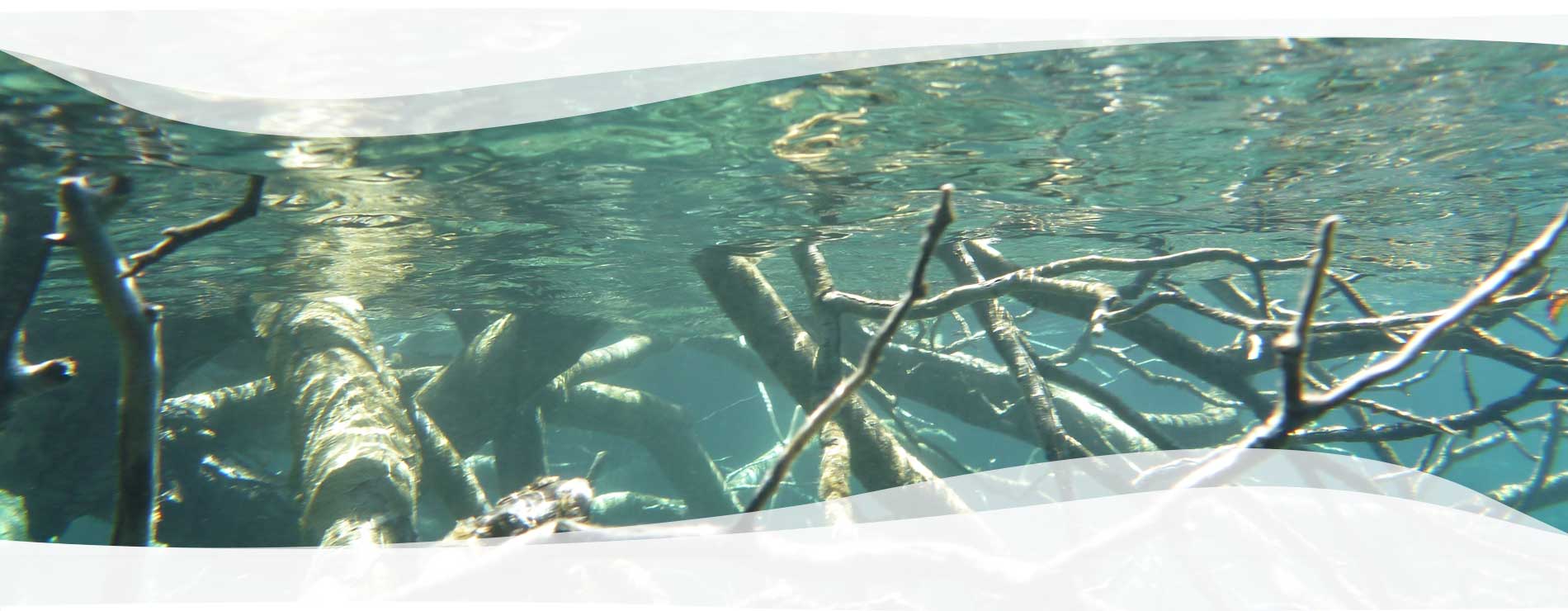 The Human Factor - Neue Perspektiven einnehmen